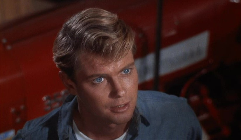 Was Troy Donahue Gay?